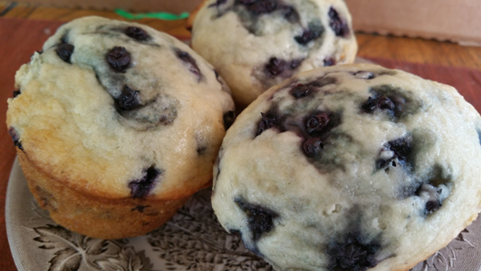 Blueberry Muffins