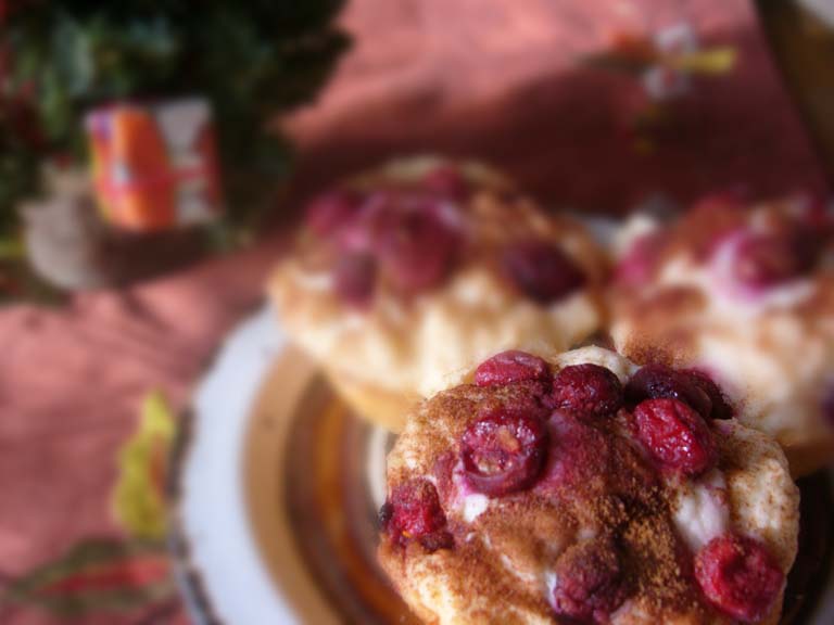 Cranberry Muffins (Sugar Free)